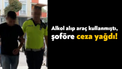 D-100 Karayolu üzerinde meydana gelen olayda bir araç sürücüsü sigara