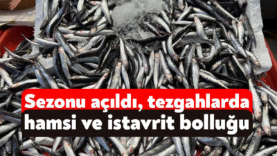 Balık sezonunun açılmasıyla tezgahlar şenlenirken, hamsi ve istavrit bolluğu dikkat