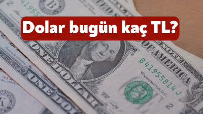 Döviz kurunda yaşanan hareketlilik 12 Eylül 2025 Cuma günü de