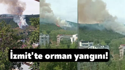 Kocaeli'nin İzmit ilçesinde ormanlık alanda yangın çıktı. Bölgeye çok