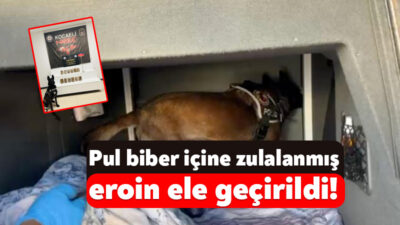 Kocaeli’de polis ekiplerince düzenlenen operasyonda, şehirlerarası yolcu otobüsünde yapılan aramada,