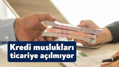 Faiz indirimi kredi musluklarını açmadı; ticari krediler %47-50 bandına sıkıştı.
