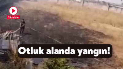 Kocaeli'nin Darıca ilçesinde otluk alanda çıkan yangın paniğe neden oldu.