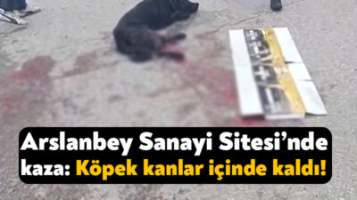 Kartepe Arslanbey Sanayi Sitesi’nde bugün akşam saatlerinde meydana gelen kazada
