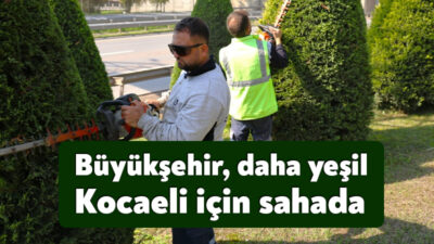 Kocaeli Büyükşehir Belediyesi, il genelinde kavşak ve yol kenarlarında bulunan