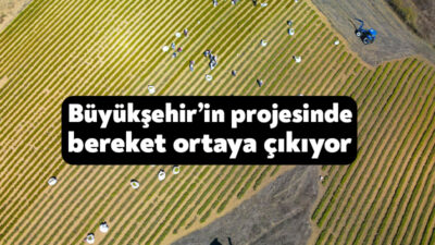 Kocaeli Büyükşehir Belediyesi, katma değeri yüksek tıbbi ve aromatik bitki