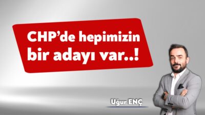 Aslında neredeyse kimseyi ilgilendirmiyor. Çoğuna göre onlar birbirini yiyor. Yağlanmamış