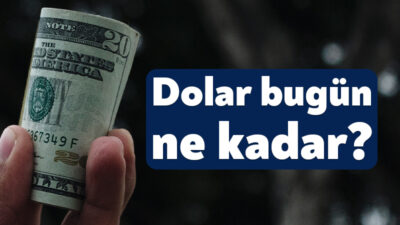 Haftanın son işlem gününde döviz piyasasında dalgalı seyir devam etti.