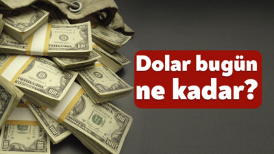 22 KASIM ANLIK DÖVİZ KURU: Döviz kurlarında hareketlilik devam ediyor.