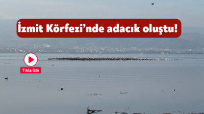 İzmit Körfezi’nde denizin çekilmesiyle ortaya çıkan küçük adacık yeniden gözlemlendi.