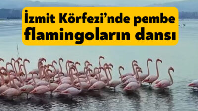 Kocaeli Büyükşehir Belediyesi’nin çalışmaları ile İzmit Körfezi her geçen gün