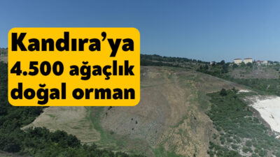 Kocaeli Büyükşehir Belediyesi, “Daha yeşil Kocaeli” için durmaksızın çalışıyor. Bu