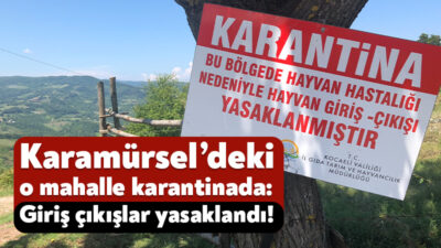 Karamürsel’in Hayriye Mahallesi son günlerde artan büyükbaş hayvan ölümleri sonrasında