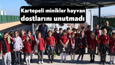 Kartepe Belediyesi Sokak Hayvanları Bakım ve Rehabilitasyon Merkezi, Dünya Hayvanları