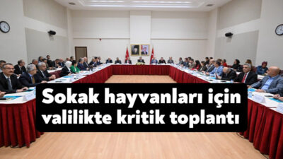 Kocaeli Valiliği İl Basın ve Halkla İlişkiler Müdürlüğü tarafından dün