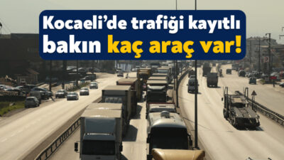 Türkiye İstatistik Kurumu, eylül ayı motorlu kara taşıtları verilerini yayınladı.