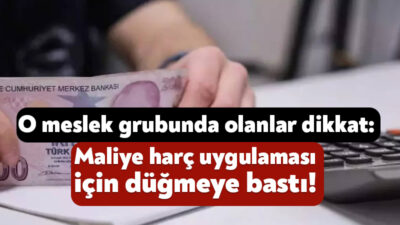 Hazine ve Maliye Bakanlığı, gelir beyanı düşük olan bazı meslek