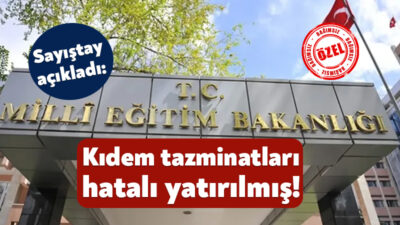 Sayıştay 2024 Yılı Düzenlilik Raporu’nu açıkladı. Geçtiğimiz yıl toplamda 1.1