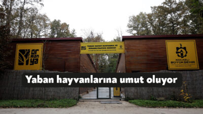 Kocaeli Büyükşehir Belediyesi’ne bağlı hizmet veren Ormanya, yalnızca doğaseverlerin uğrak