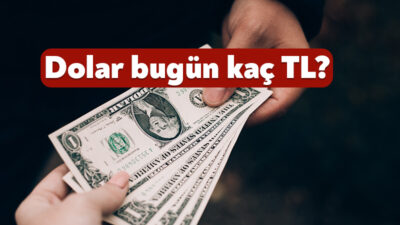 Döviz piyasalarında dalgalanma sürüyor. Haftanın son işlem gününde dolar 42,20