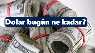 21 KASIM ANLIK DÖVİZ KURU: Döviz kurlarında hareketlilik devam ediyor.