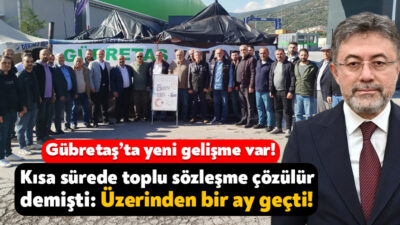 Ak Parti Kocaeli Milletvekili Radiye Sezer Katırcıoğlu, Tarım ve Orman