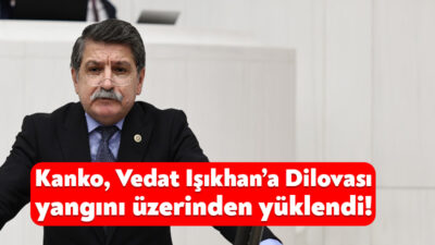 CHP Kocaeli Milletvekili Prof. Dr. Muhip Kanko, Çalışma ve Sosyal