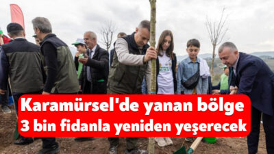 Kocaeli'nin Karamürsel ilçesinde ağustos ayında yanan ormanlık alana, 11 Kasım