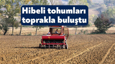 Kocaeli Büyükşehir Beeldiyesi'nin tarım ve hayvancılığı geliştirme programı kapsamındaki desteği