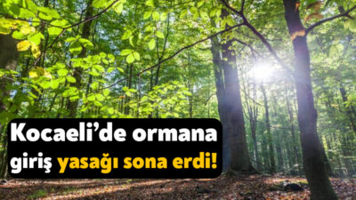 Kocaeli Valiliği’nin yaz başında başlattığı ormanlara giriş yasağı sona erdi.