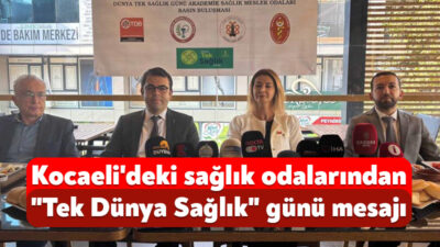 Kocaeli'de, 3 Kasım Dünya Tek Sağlık Günü dolayısıyla sağlık meslek