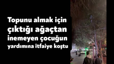 Kocaeli'de oyun oynayan çocukların topu, ağacın dalları arasında kaldı. Topu