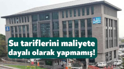 Sayıştay tarafından 2024 yılına belediyeler ve bağlı birimler hakkındaki dair