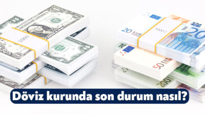 Ekonomik ve finansal gelişmelerin önemli etkilere sahip olduğu döviz kurundaki