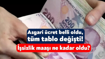 Çalışma ve Sosyal Güvenlik Bakanı Vedat Işıkhan, yeni yılda geçerli