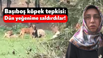 Kocaeli'nin Derince ilçesinde spor tesisleri ve mesire alanı çevresinde