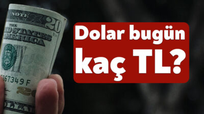 27 ARALIK ANLIK DÖVİZ KURU: Döviz kurlarında hareketlilik devam ediyor.