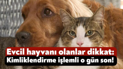 Evcil hayvanların kayıt altına alınması hem hayvan hem de çevre