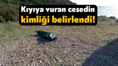 Gebze’nin Denizli Mahallesi’nde 21 Aralık’ta meydana gelen olayda gölet kenarına