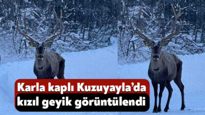 Kocaeli Büyükşehir Belediyesi’nin Doğa Koruma ve Milli Parklar Genel Müdürlüğü
