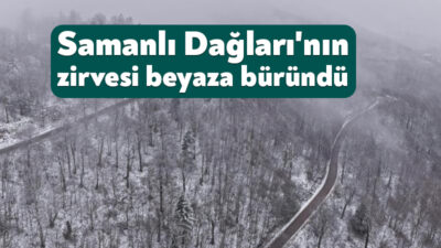 Türkiye'nin en önemli kayak merkezlerinden birisi olan Kartepe beyaz örtüyle