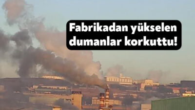 Kocaeli'nin Dilovası ilçesindeki bir fabrikanın bacasından çıkan siyah duman vatandaşları