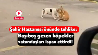 Kocaeli Şehir Hastanesi’ne gelen bir vatandaşın cep telefonuna yansıyan görüntüler