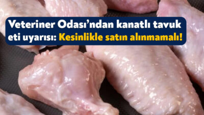 Kocaeli Veteriner Odası Başkanı Mehmet Bostancı, kanatlı et tüketimine karşı