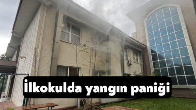 Kocaeli'nin Derince ilçesinde bir ilkokulun bodrum katındaki kağıt deposunda çıkan