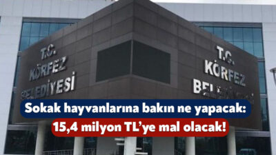 Körfez Belediyesi, sokak hayvanlarına doğal yaşam alanı kazandırmak amacıyla kasım