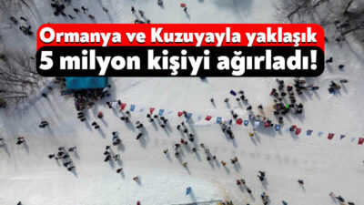 Avrupa'nın en büyük doğal yaşam parkı Ormanya'yı 4 milyon 627