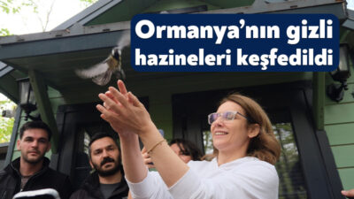 Kocaeli Büyükşehir Belediyesi’nin Ormanya’da düzenlediği “Mantar Avı” etkinliği, uzman rehberler