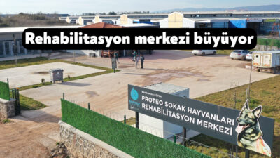 Başiskele Belediyesi, sokak hayvanlarının yaşam koşullarını iyileştirmeye yönelik çalışmalarına bir