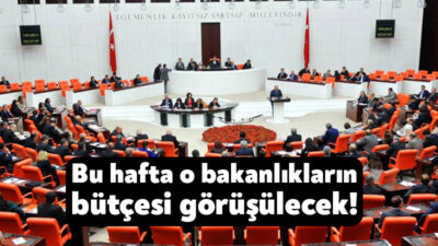 TBMM Genel Kurulu’nda bütçe görüşmeleri yeni haftada da devam edecek.